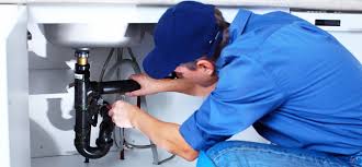 Best Garbage Disposal Repair and Installation  in Dentsville, SC